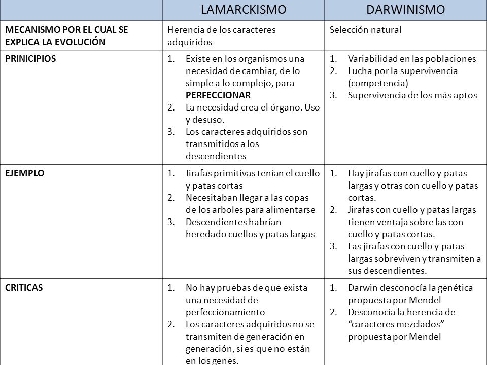 LAMARCKISMO DARWINISMO MECANISMO POR EL CUAL SE EXPLICA LA EVOLUCIÓN