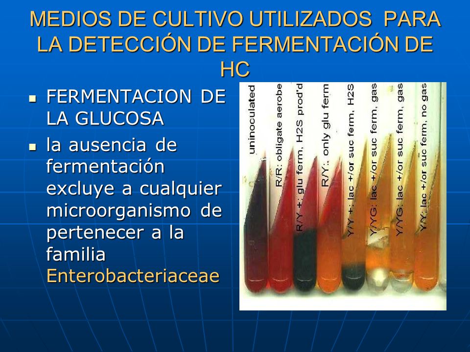 MEDIOS DE CULTIVO UTILIZADOS PARA LA DETECCIÓN DE FERMENTACIÓN DE HC