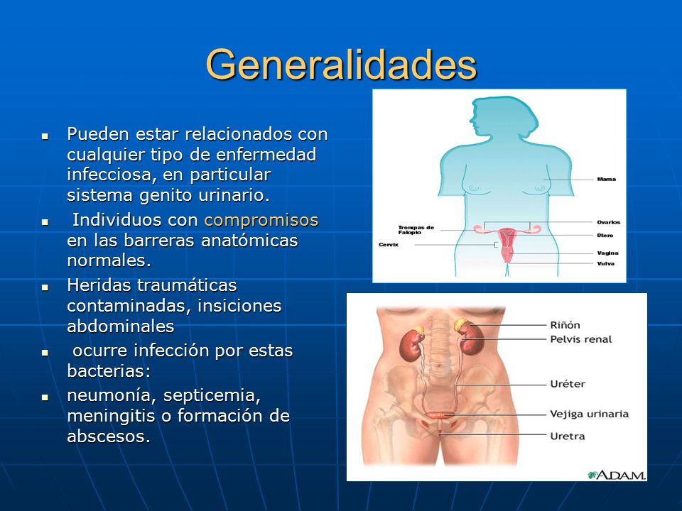 Generalidades Pueden estar relacionados con cualquier tipo de enfermedad infecciosa, en particular sistema genito urinario.