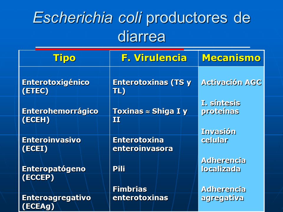 Escherichia coli productores de diarrea