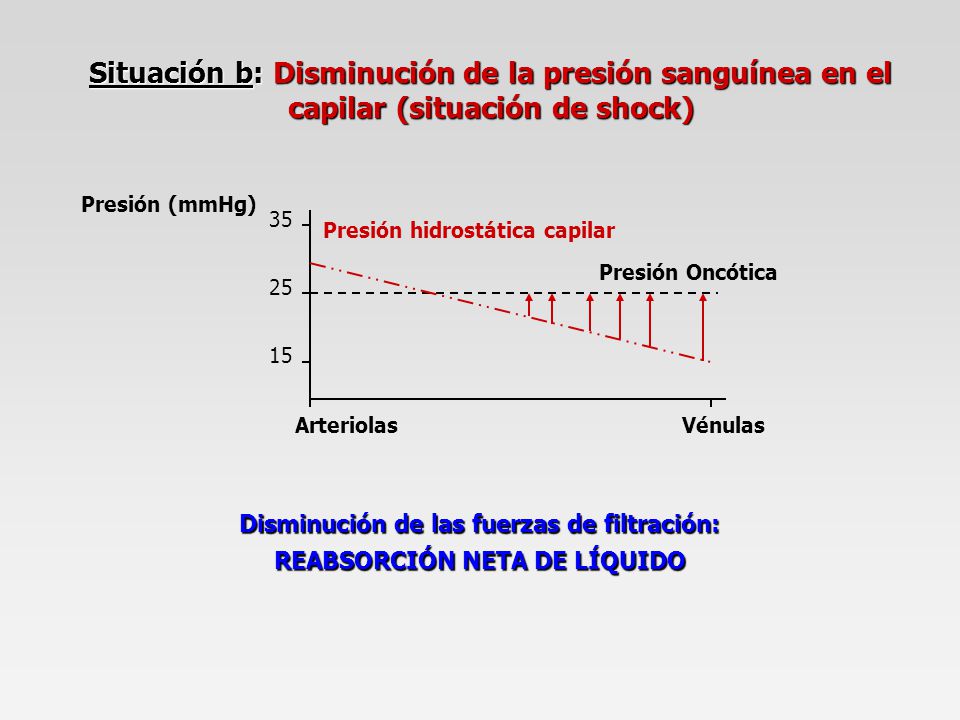 Disminución de las fuerzas de filtración: REABSORCIÓN NETA DE LÍQUIDO