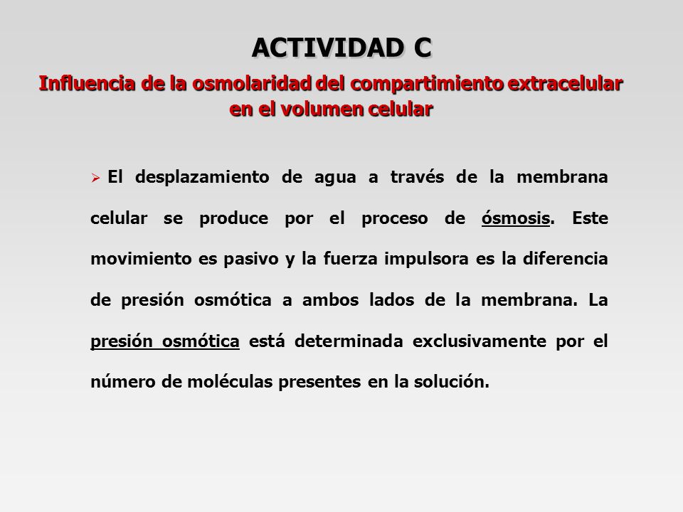 ACTIVIDAD C Influencia de la osmolaridad del compartimiento extracelular en el volumen celular.