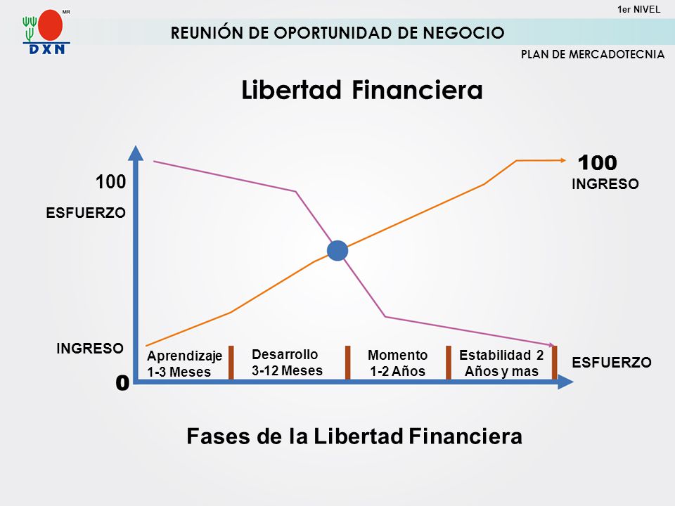 REUNIÓN DE OPORTUNIDAD DE NEGOCIO Fases de la Libertad Financiera