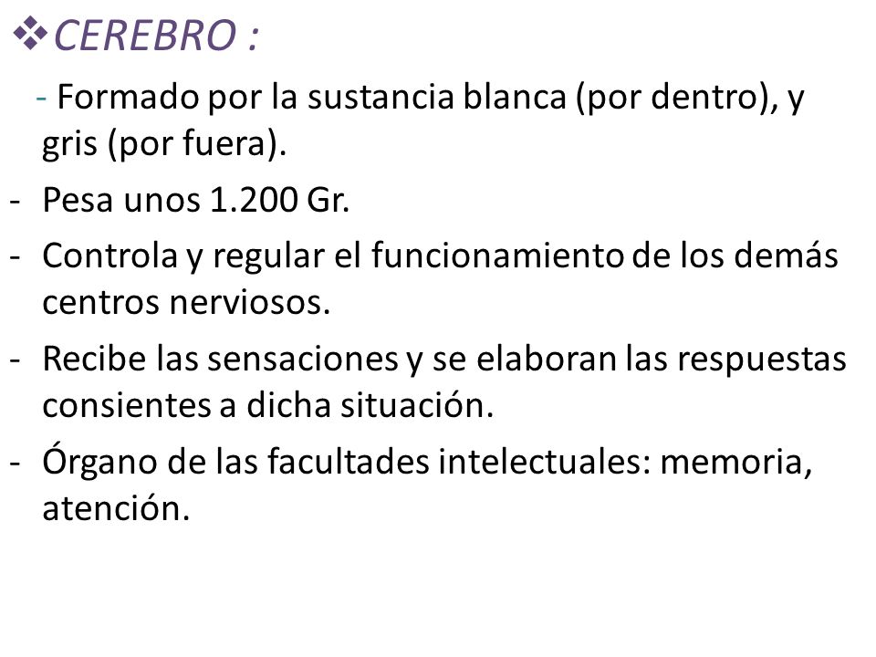 CEREBRO : - Formado por la sustancia blanca (por dentro), y gris (por fuera). Pesa unos Gr.
