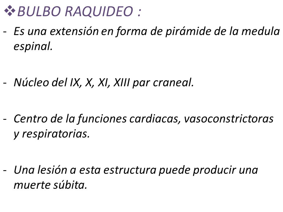 BULBO RAQUIDEO : Es una extensión en forma de pirámide de la medula espinal. Núcleo del IX, X, XI, XIII par craneal.
