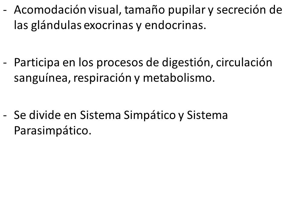 Acomodación visual, tamaño pupilar y secreción de las glándulas exocrinas y endocrinas.