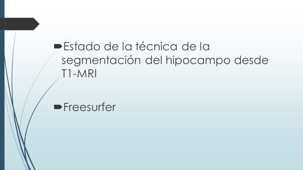 Estado de la técnica de la segmentación del hipocampo desde T1-MRI