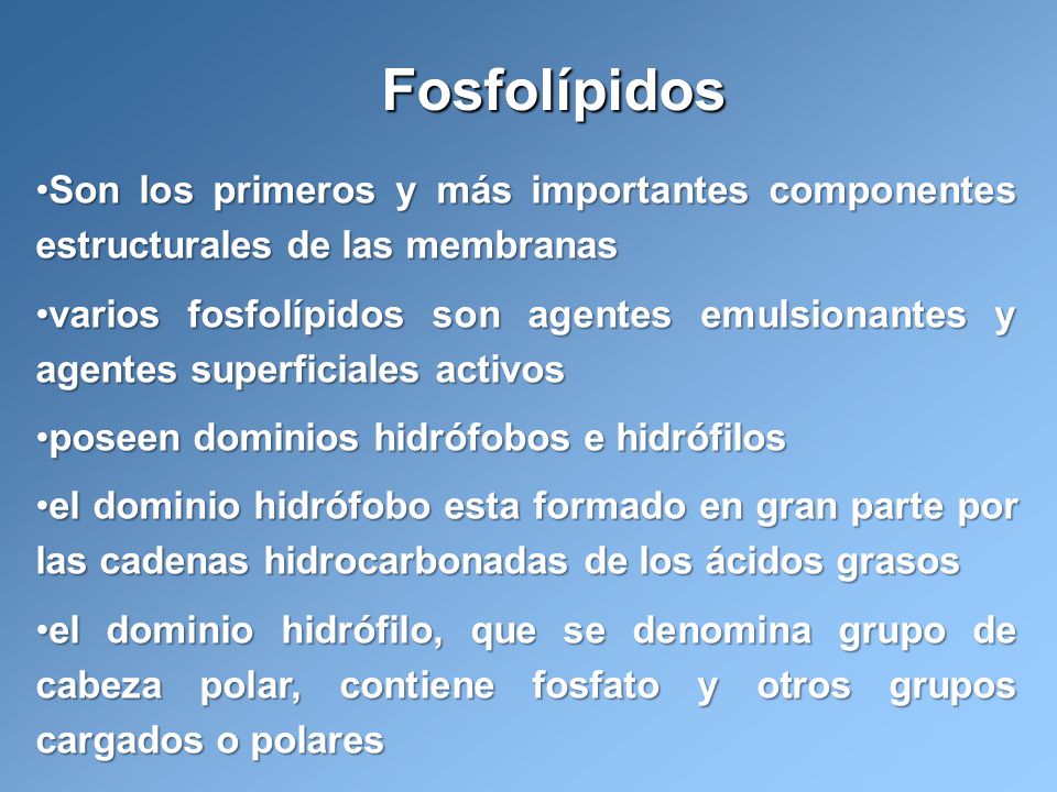 Fosfolípidos Son los primeros y más importantes componentes estructurales de las membranas.