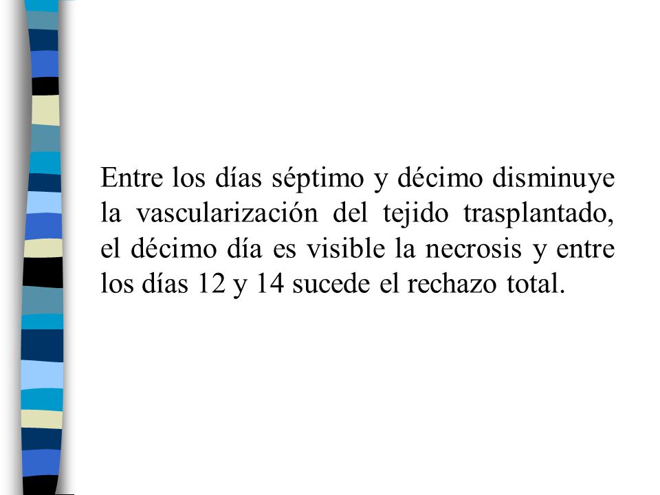 Entre los días séptimo y décimo disminuye la vascularización del tejido trasplantado, el décimo día es visible la necrosis y entre los días 12 y 14 sucede el rechazo total.