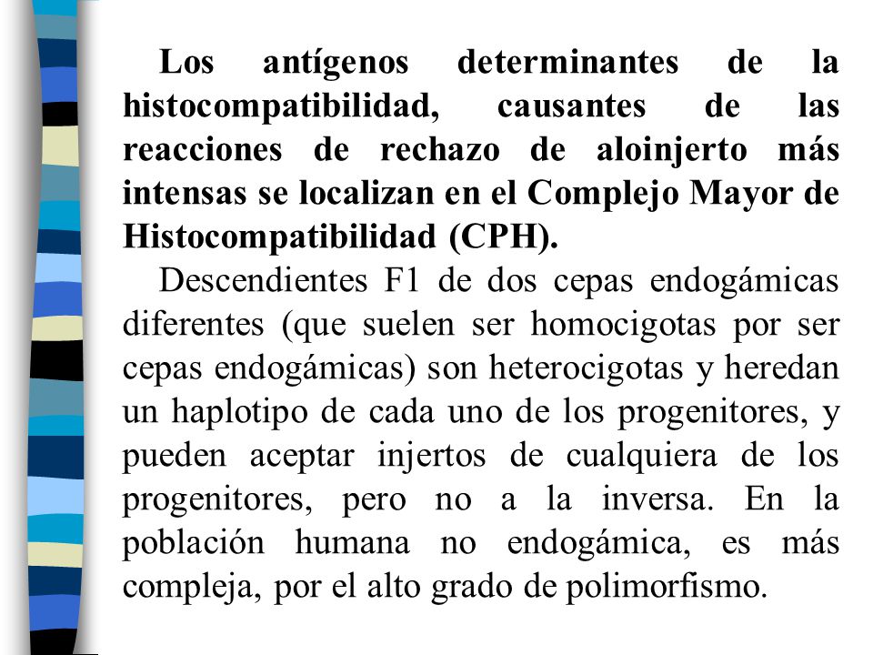 Los antígenos determinantes de la histocompatibilidad, causantes de las reacciones de rechazo de aloinjerto más intensas se localizan en el Complejo Mayor de Histocompatibilidad (CPH).