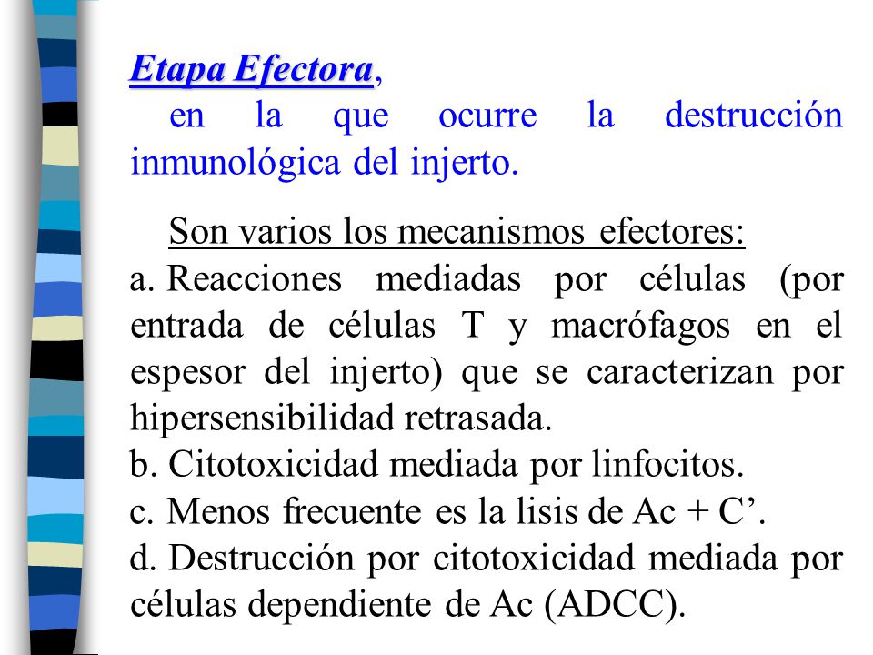 Etapa Efectora, en la que ocurre la destrucción inmunológica del injerto. Son varios los mecanismos efectores:
