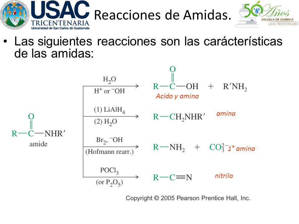 Reacciones de Amidas. Las siguientes reacciones son las carácterísticas de las amidas: Acido y amina.
