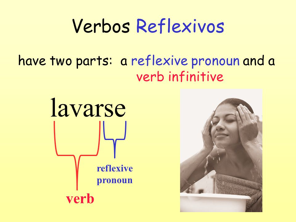 have two parts: a reflexive pronoun and a verb infinitive