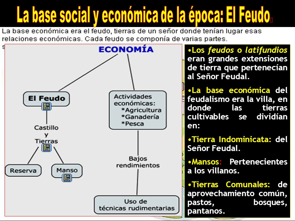 La base social y económica de la época: El Feudo.