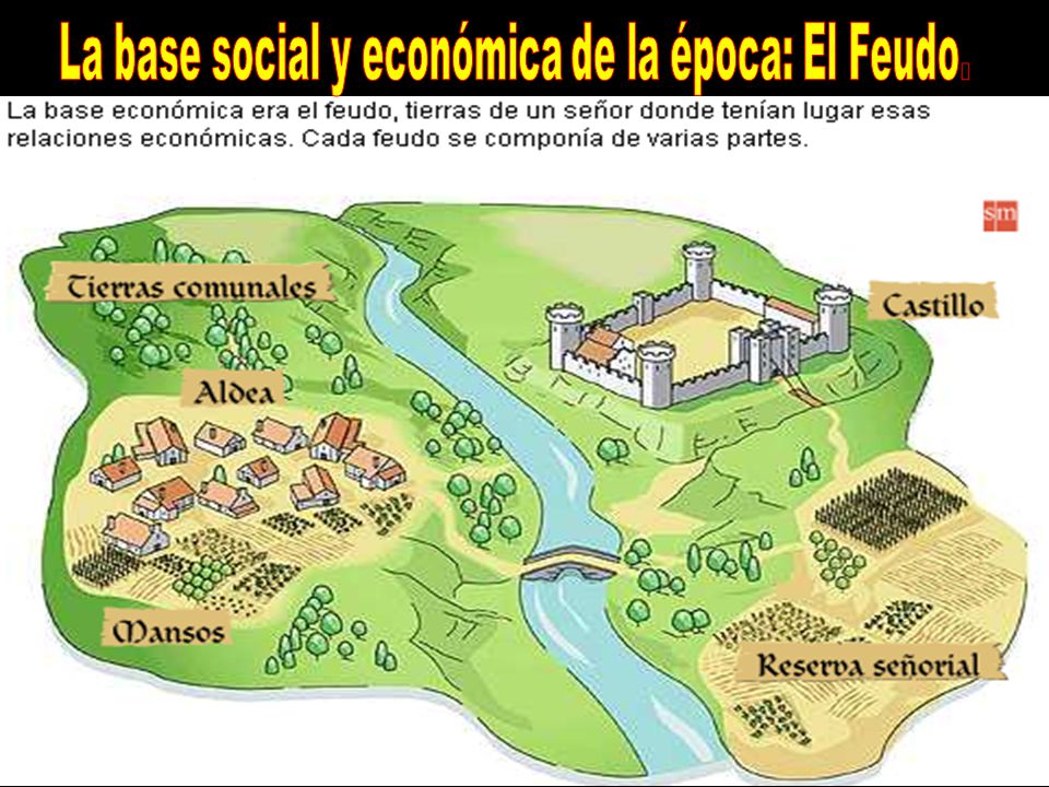 La base social y económica de la época: El Feudo.