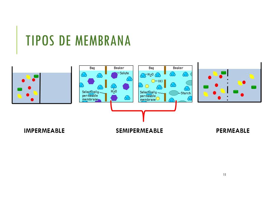 Tipos de Membrana IMPERMEABLE SEMIPERMEABLE PERMEABLE