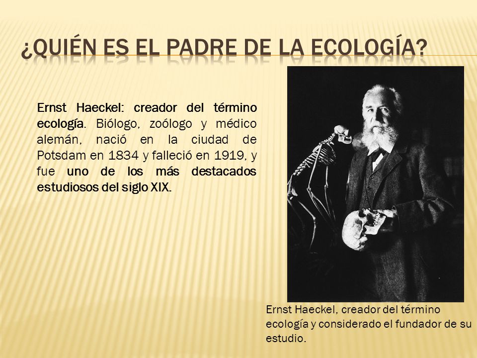 Ecología y Salud I LIC. ARNOLD ALVARADO. - ppt video online descargar