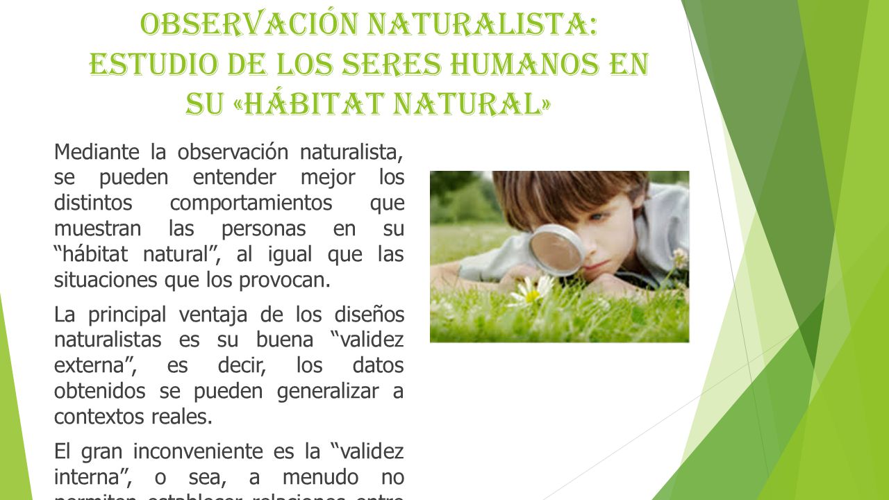 Observación Naturalista: Estudio de los seres humanos en su «hábitat natural»