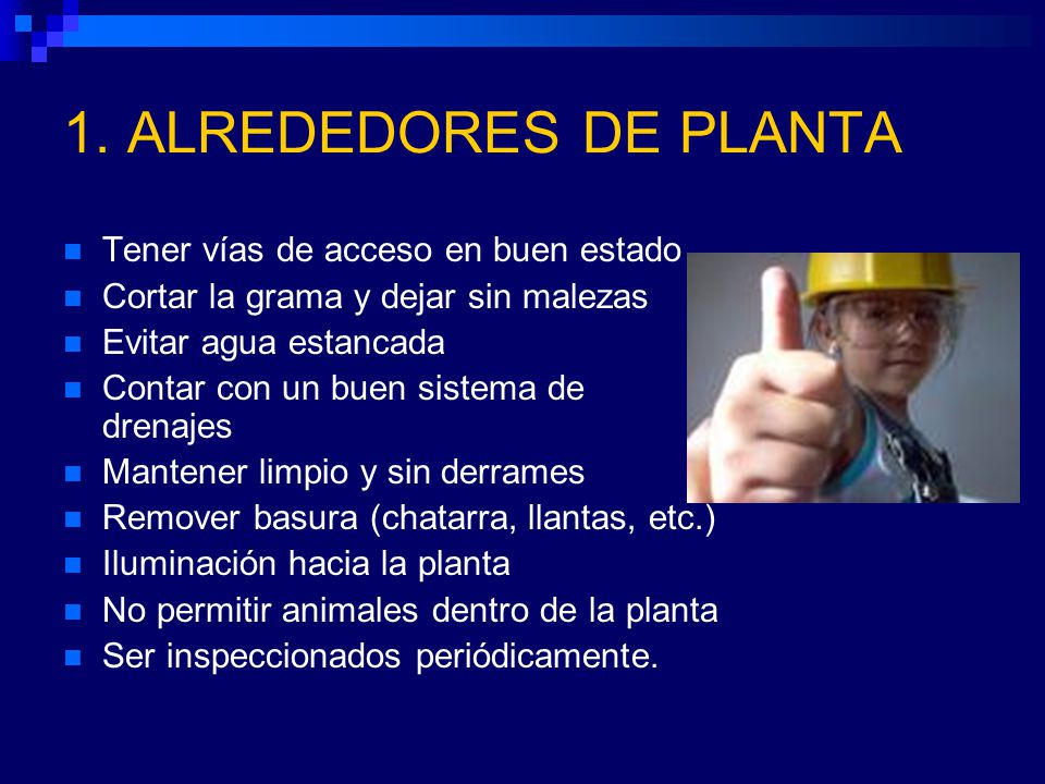 1. ALREDEDORES DE PLANTA Tener vías de acceso en buen estado