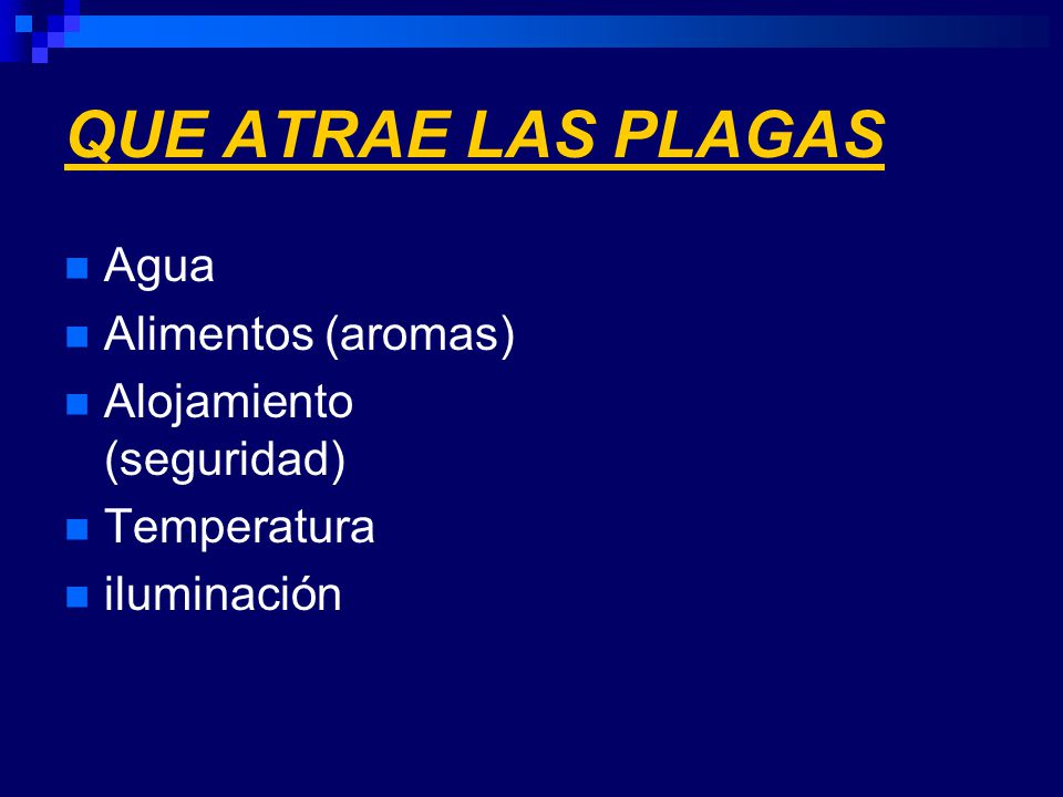 QUE ATRAE LAS PLAGAS Agua Alimentos (aromas) Alojamiento (seguridad)