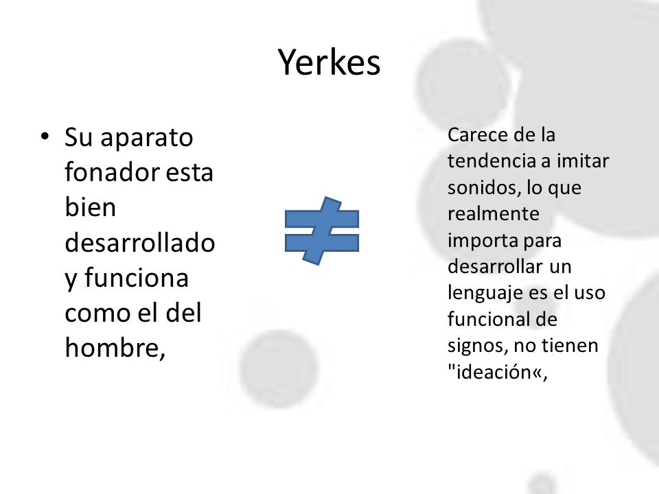 Yerkes Su aparato fonador esta bien desarrollado y funciona como el del hombre,