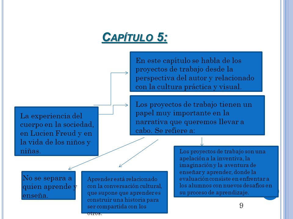 Capítulo 5: En este capítulo se habla de los proyectos de trabajo desde la perspectiva del autor y relacionado con la cultura práctica y visual.