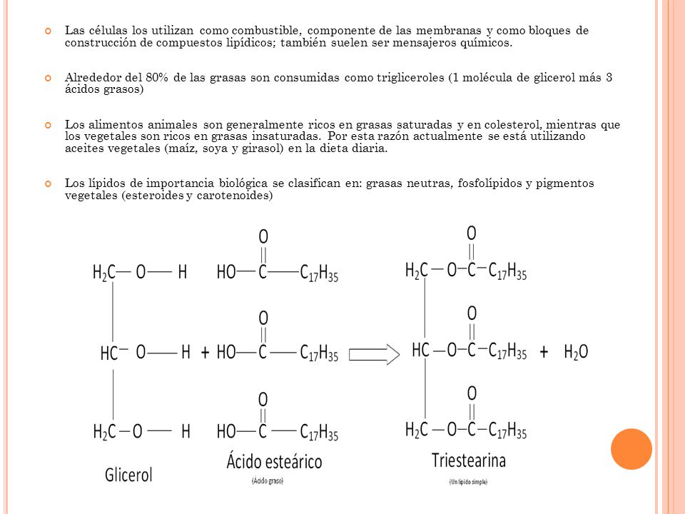 Las células los utilizan como combustible, componente de las membranas y como bloques de construcción de compuestos lipídicos; también suelen ser mensajeros químicos.
