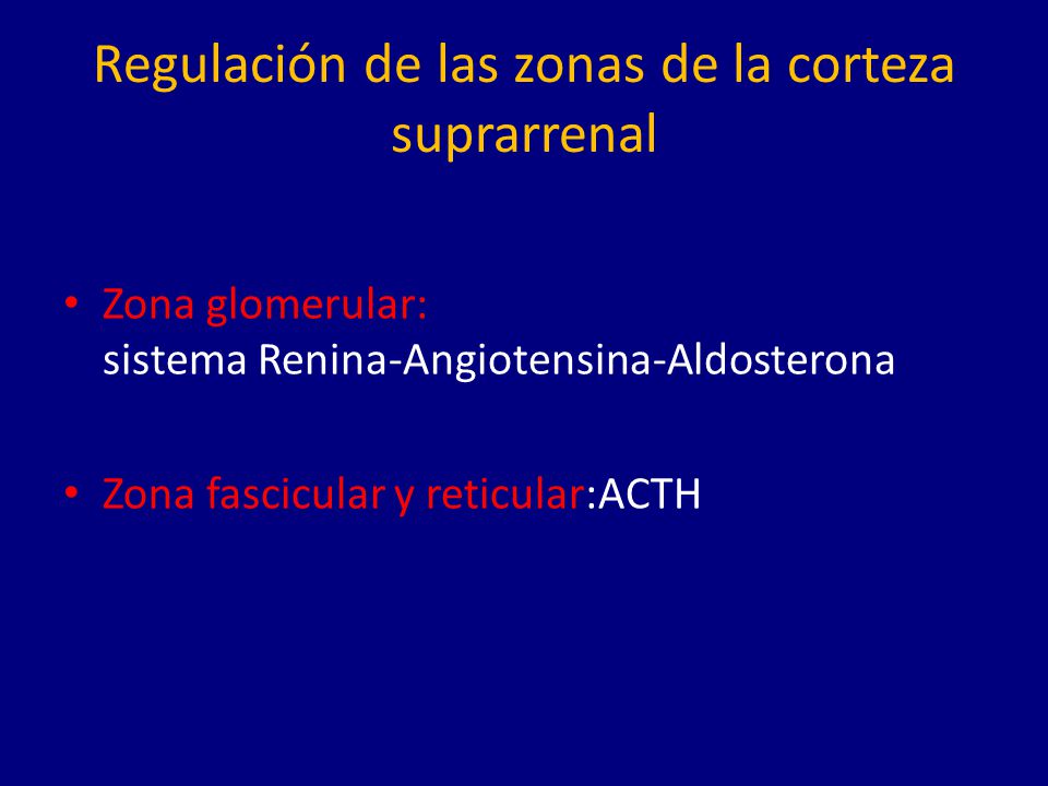 Regulación de las zonas de la corteza suprarrenal