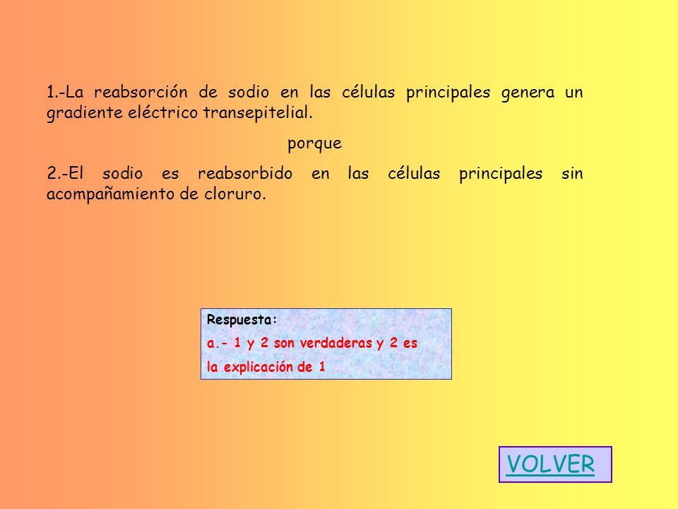 1.-La reabsorción de sodio en las células principales genera un gradiente eléctrico transepitelial.