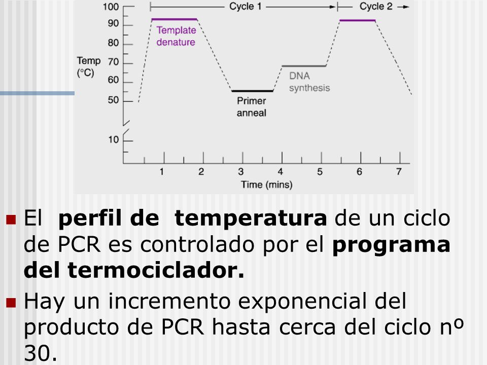 El perfil de temperatura de un ciclo de PCR es controlado por el programa del termociclador.
