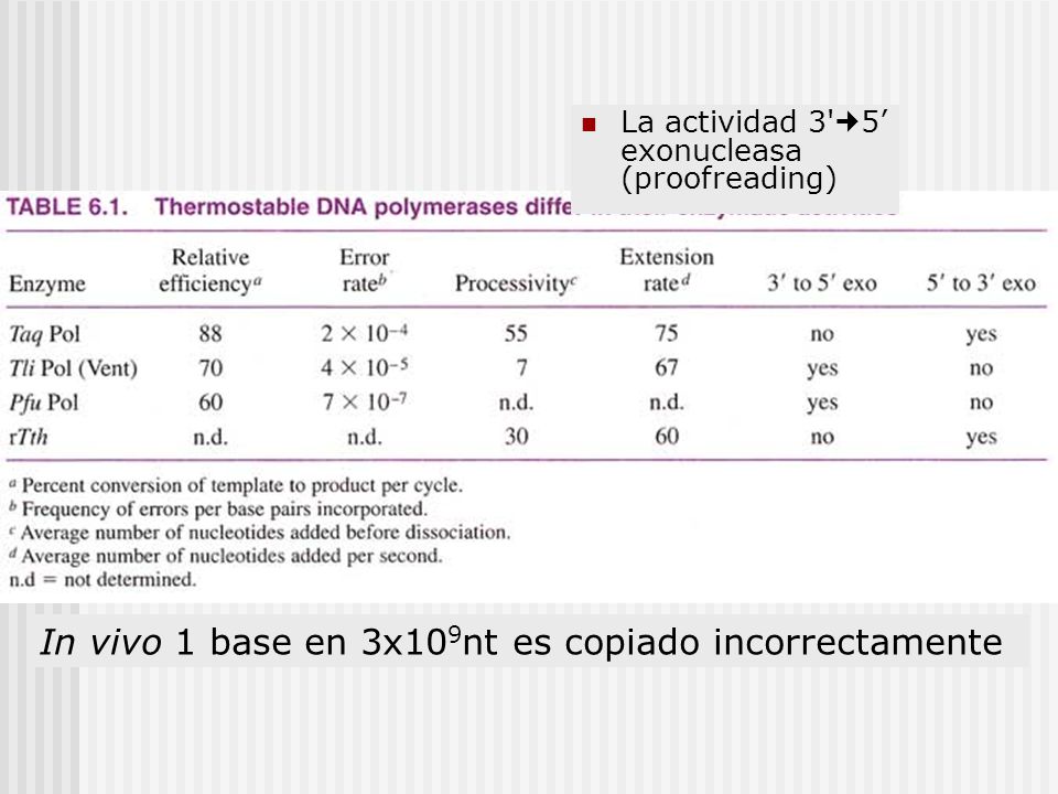In vivo 1 base en 3x109nt es copiado incorrectamente