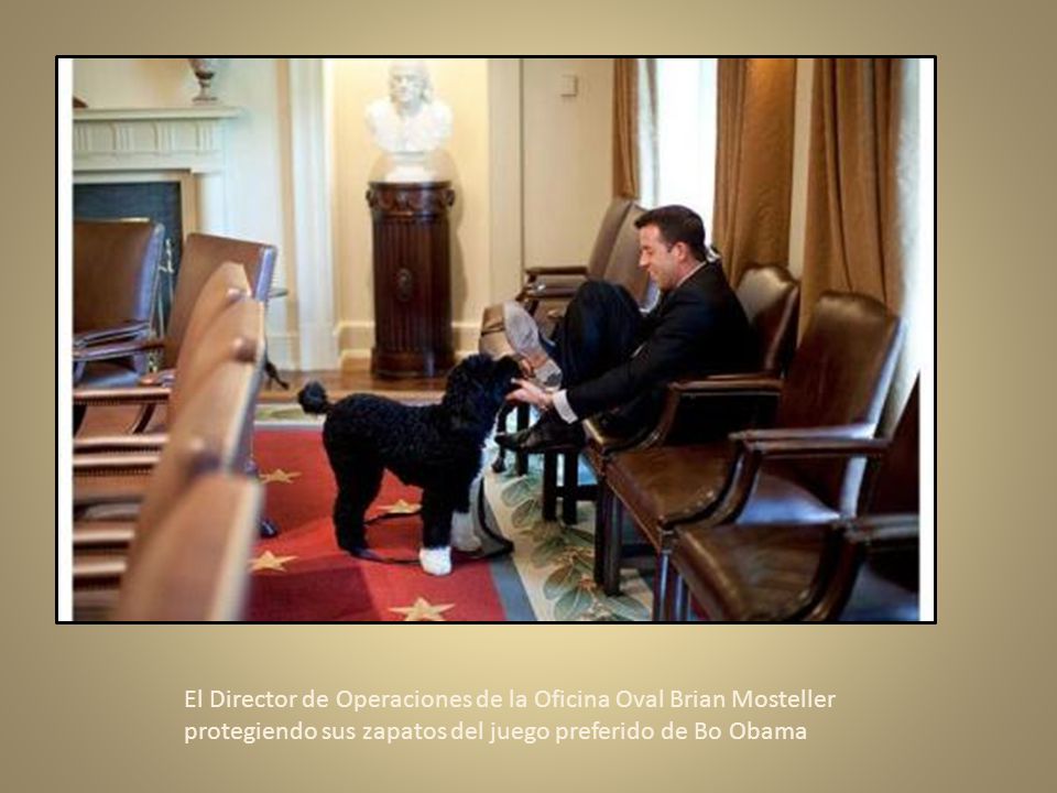 El Director de Operaciones de la Oficina Oval Brian Mosteller protegiendo sus zapatos del juego preferido de Bo Obama
