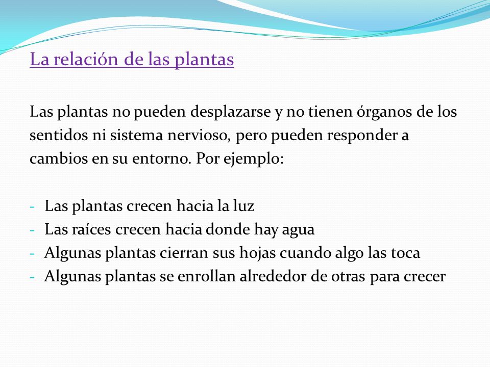 Tema 5: Las plantas. - ppt descargar