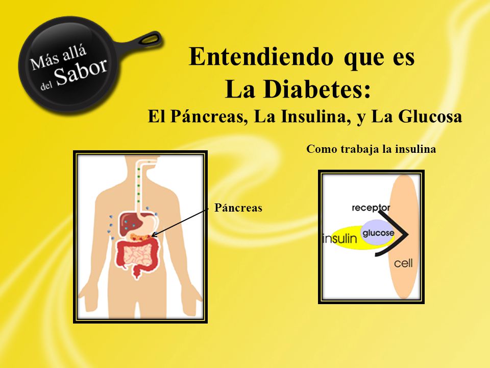 Entendiendo que es La Diabetes: El Páncreas, La Insulina, y La Glucosa