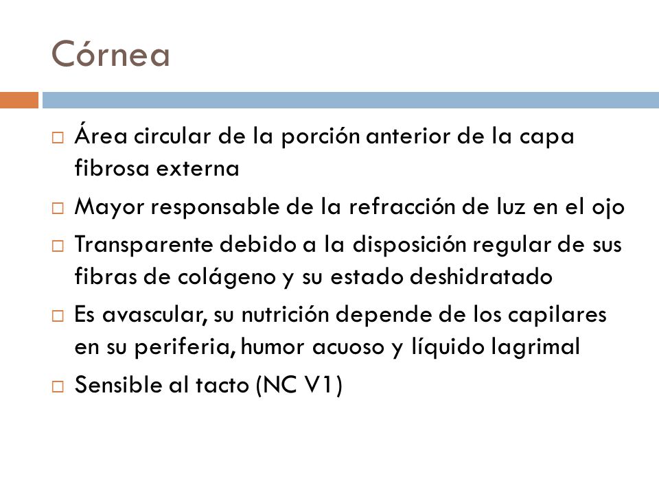 Córnea Área circular de la porción anterior de la capa fibrosa externa