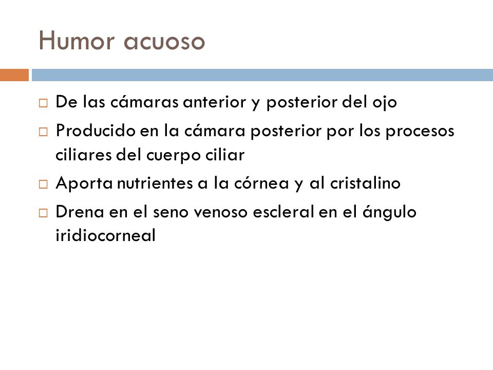 Humor acuoso De las cámaras anterior y posterior del ojo