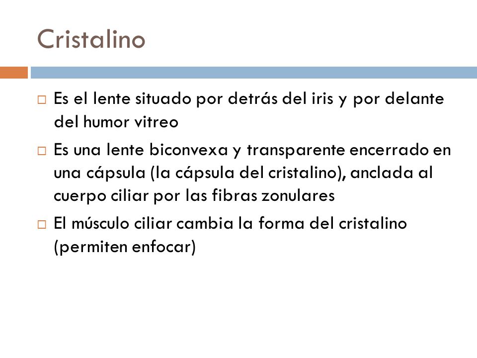Cristalino Es el lente situado por detrás del iris y por delante del humor vitreo.