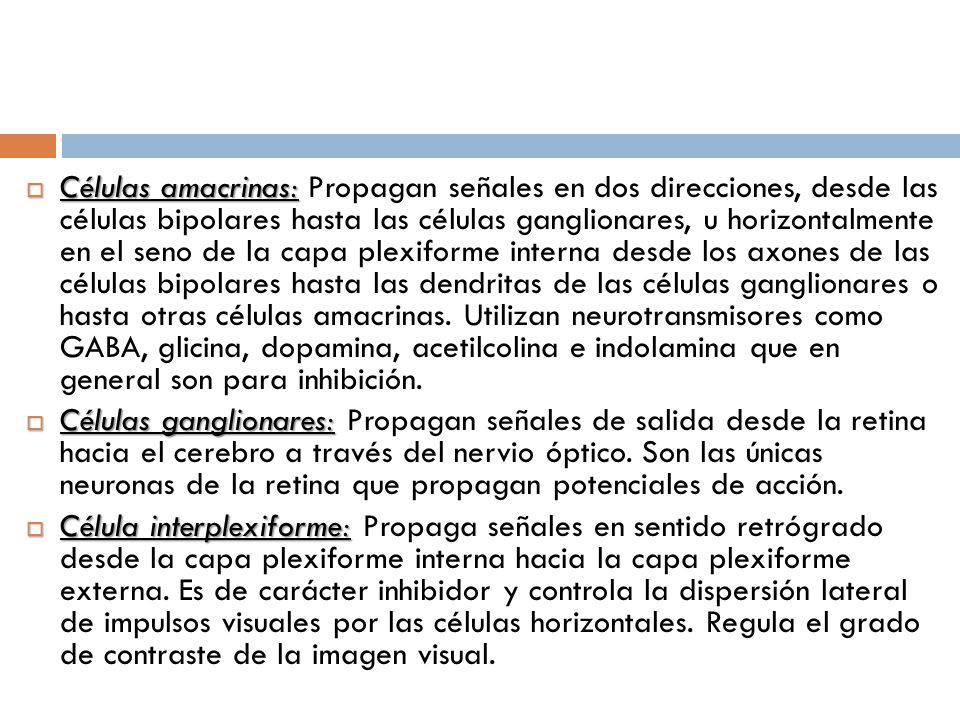 Células amacrinas: Propagan señales en dos direcciones, desde las células bipolares hasta las células ganglionares, u horizontalmente en el seno de la capa plexiforme interna desde los axones de las células bipolares hasta las dendritas de las células ganglionares o hasta otras células amacrinas. Utilizan neurotransmisores como GABA, glicina, dopamina, acetilcolina e indolamina que en general son para inhibición.