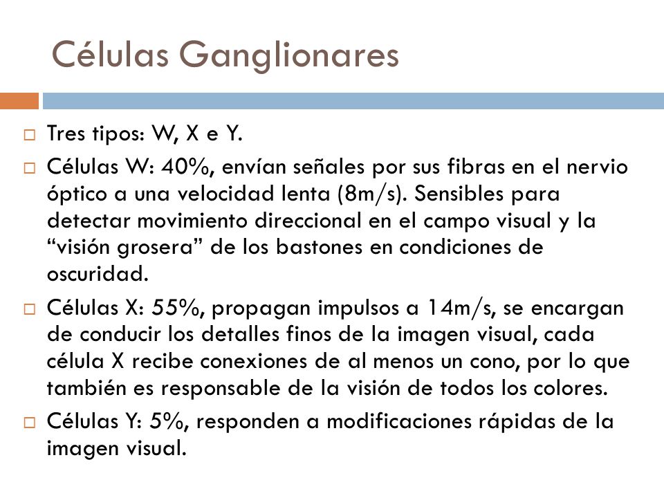 Células Ganglionares Tres tipos: W, X e Y.
