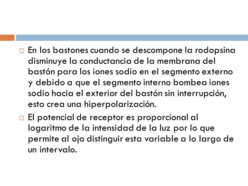 En los bastones cuando se descompone la rodopsina disminuye la conductancia de la membrana del bastón para los iones sodio en el segmento externo y debido a que el segmento interno bombea iones sodio hacia el exterior del bastón sin interrupción, esto crea una hiperpolarización.