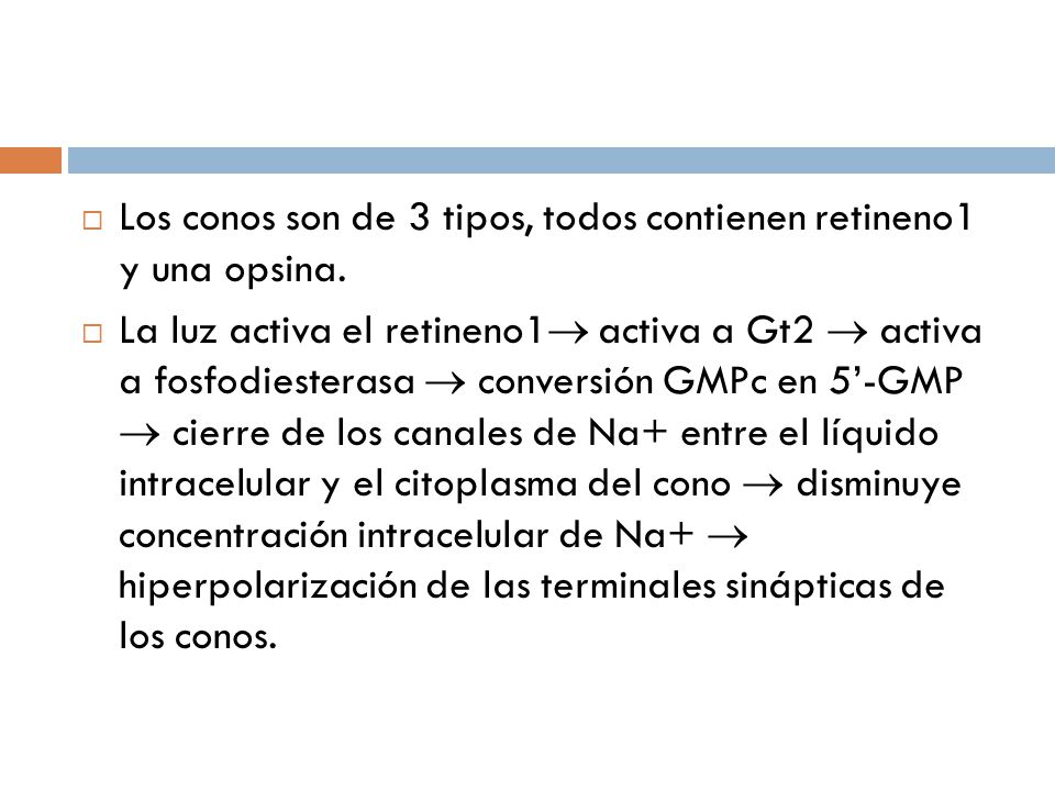 Los conos son de 3 tipos, todos contienen retineno1 y una opsina.