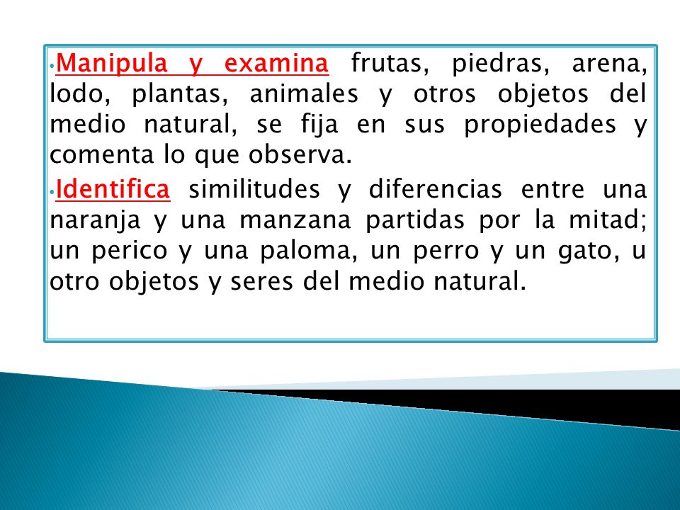 Manipula y examina frutas, piedras, arena, lodo, plantas, animales y otros objetos del medio natural, se fija en sus propiedades y comenta lo que observa.