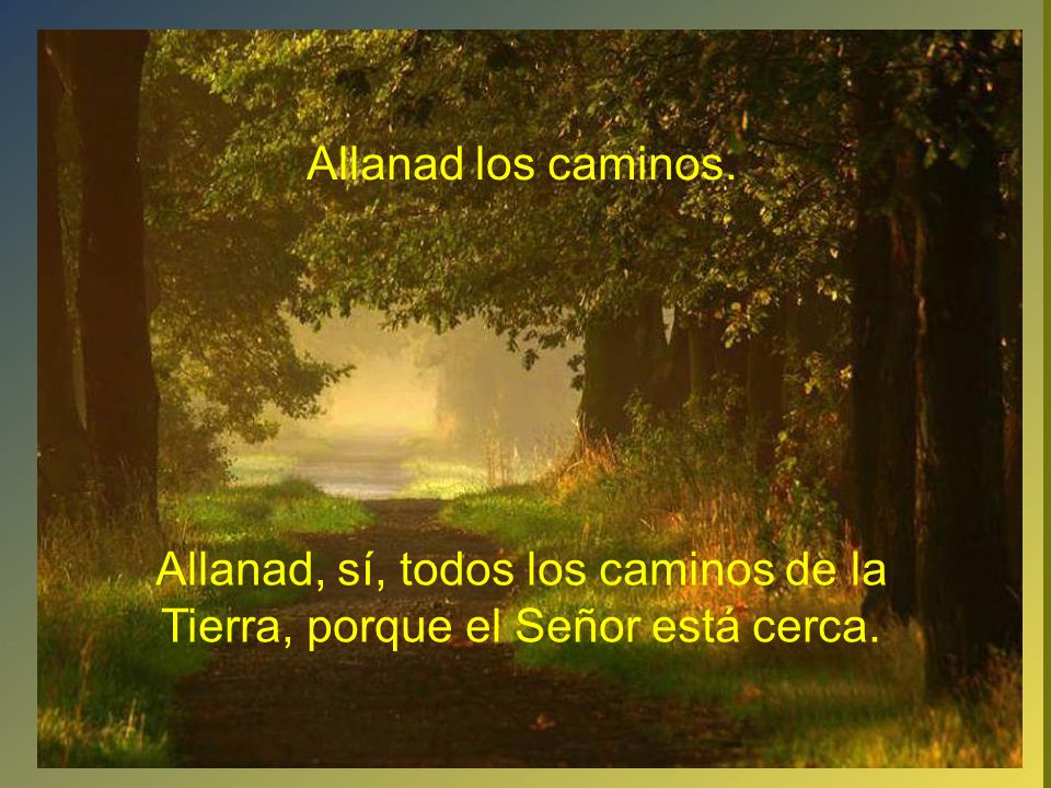 Allanad los caminos. Allanad, sí, todos los caminos de la Tierra, porque el Señor está cerca.