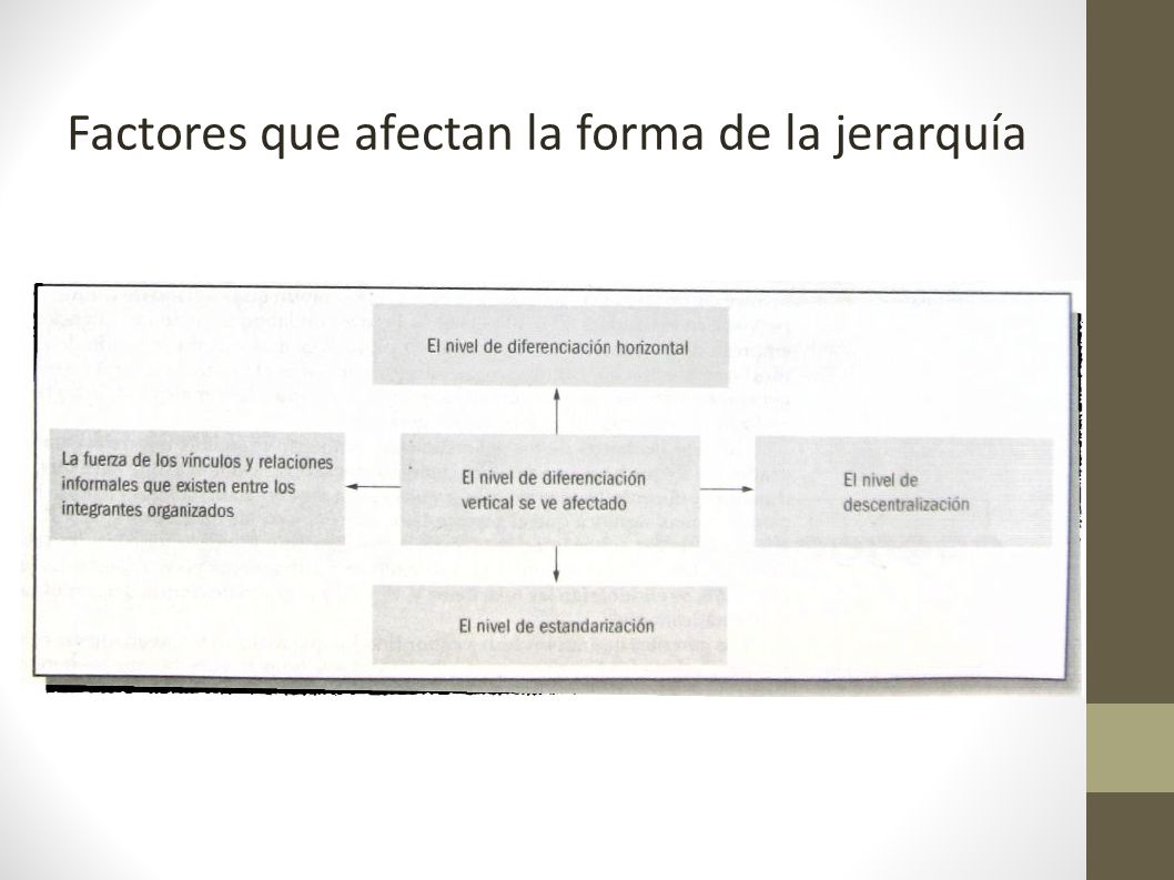 Factores que afectan la forma de la jerarquía