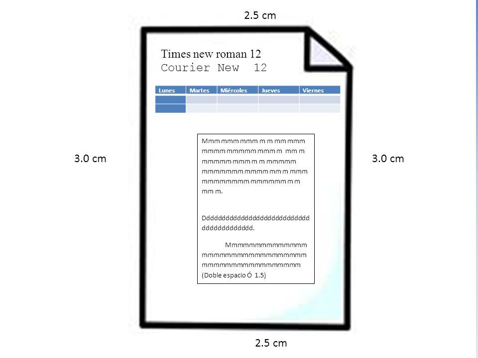 2.5 cm Times new roman 12 Courier New cm 3.0 cm 2.5 cm