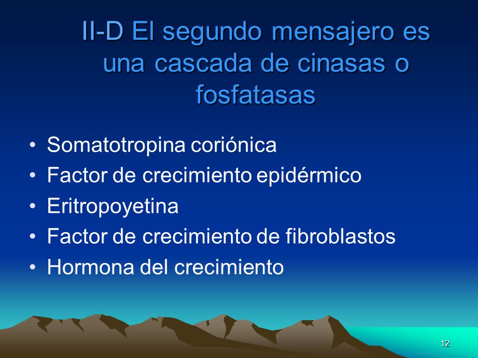 II-D El segundo mensajero es una cascada de cinasas o fosfatasas