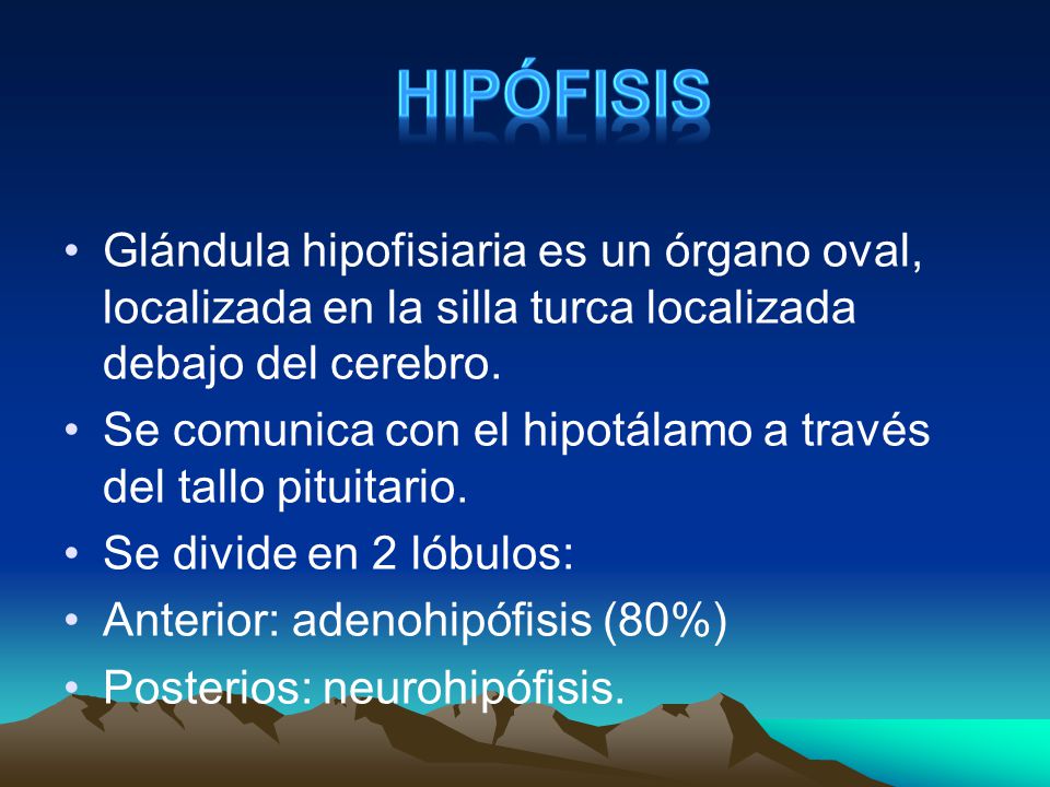 HIPÓFISIS Glándula hipofisiaria es un órgano oval, localizada en la silla turca localizada debajo del cerebro.