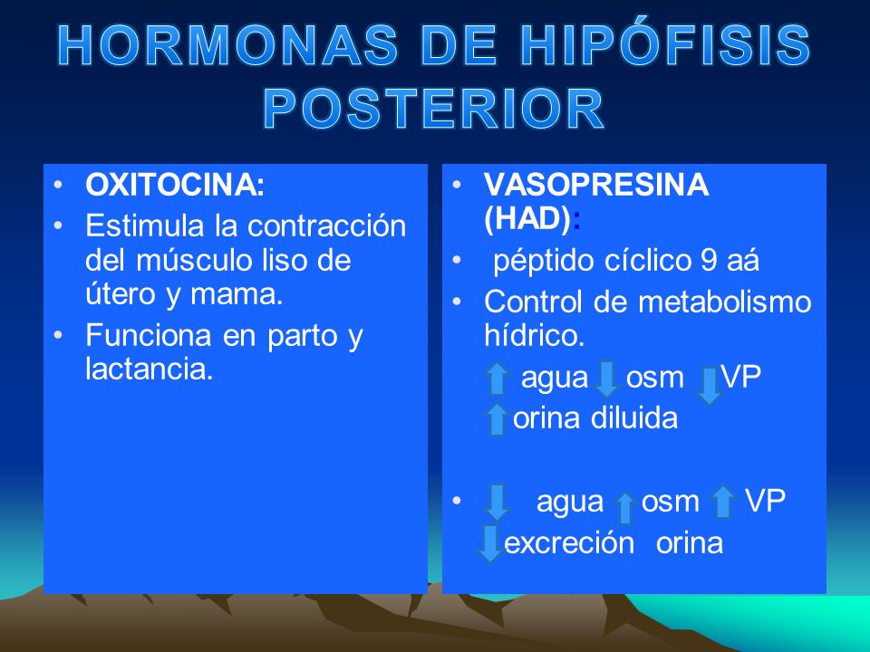 HORMONAS DE HIPÓFISIS POSTERIOR