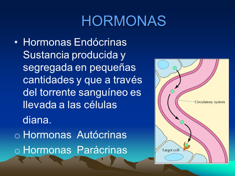 HORMONAS Hormonas Endócrinas Sustancia producida y segregada en pequeñas cantidades y que a través del torrente sanguíneo es llevada a las células.