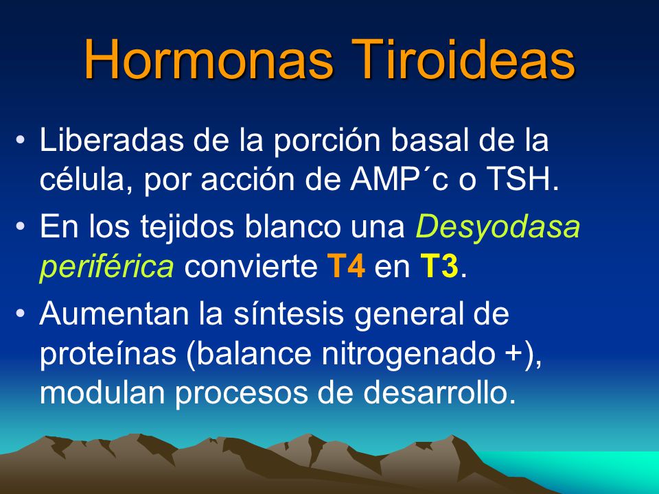 Hormonas Tiroideas Liberadas de la porción basal de la célula, por acción de AMP´c o TSH.